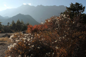 Annapurna Circuit Nepal Photographer Martin Zinggl-6